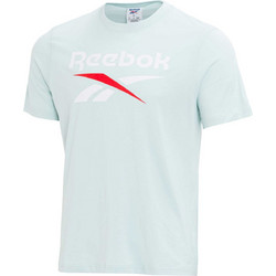 Reebok Ανδρικό Αθλητικό T-Shirt Γαλάζιο 100251651