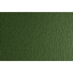 Fabriano Elle Erre Χαρτόνι Κανσόν Χακί 50x70cm 42450728