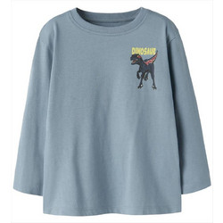 Name It Dinosaur Παιδικό T-Shirt Μακρυμάνικο Γαλάζιο 13259689