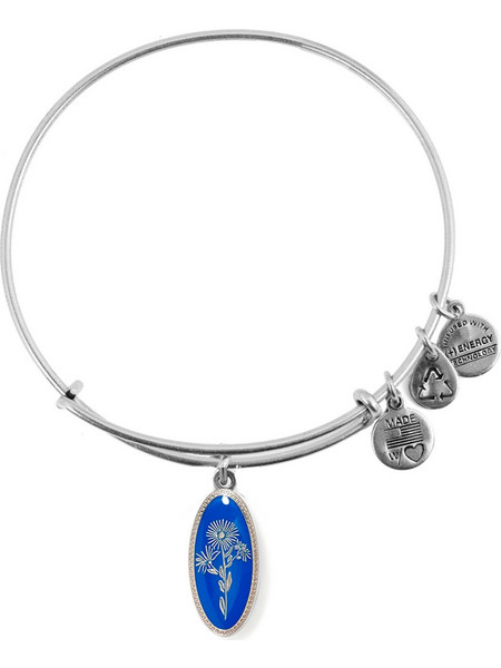 Alex and Ani Γυναικείο Βραχιόλι Βέργα Ασημί A14EB97SS