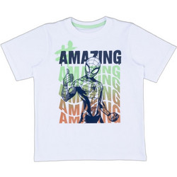 Prenatal Spider-Man Παιδικό T-Shirt Κοντομάνικο Λευκό 1574886
