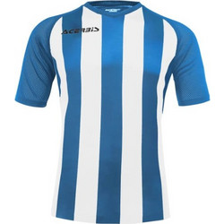 Acerbis Ανδρικό Αθλητικό T-Shirt Μπλε Λευκό 0910048-450