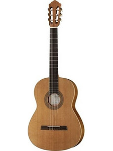 Hofner HZ23