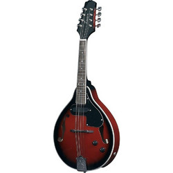Tenson A-1E - Black Cherry