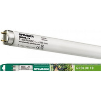 Λάμπα Φθορίου Τ8 18W Groulx Για Ανάπτυξη Φυτών 60cm