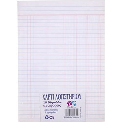 ΧΑΡΤΙ ΓΡΑΦΗΣ ΛΟΓΙΣΤΙΚΗΣ 10φ Σ0134.10