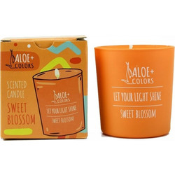 ALOE+ COLORS SCENTED CANDLE SWEET BLOSSOM