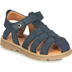 GBB Fernato AF359-12