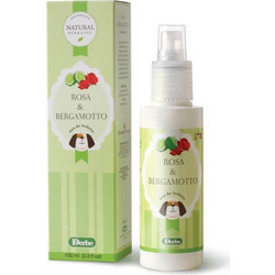 DERBE ΑΡΩΜΑ ΚΑΤΟΙΚΙΔΙΩΝ ROSE +amp PERGAMONT 100ml