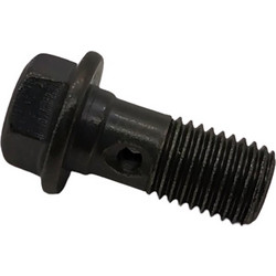 Βιδα ρακορ σωληνων φρενων 2cm μηκος x 10mm πασο