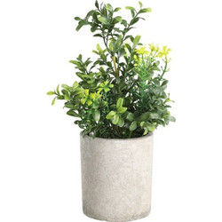 Τεχνητό Φυτό Σε Κασπώ 428025 Φ15x25cm Green Eglo Πλαστικό