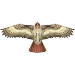 X-Kites Χαρταετός Υφασμάτινος Birds of Prey Hawk 80893