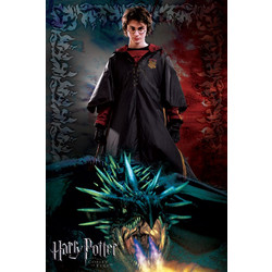 HARRY POTTER AND THE GOBLET OF FIRE-DRAGON POSTERS