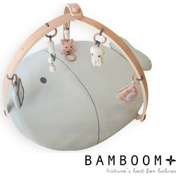 BAMBOOM Γυμναστήριο Δραστηριοτήτων Fishes