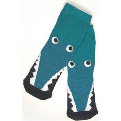 Βρεφικές Κάλτσες για Αγόρια Turquoise Dino ΤΥΡΚΟΥΑΖ