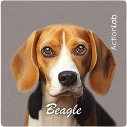 Action Lab Μαγνητάκι Magnet Beagle