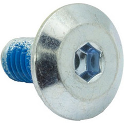 FR AXS/EZX MOUNTING SCREW SILVER 12mm