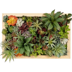 VARIOUS PLANT 20642 Τεχνητό Διακοσμητικό Φυλλωσιάς σε Ξύλινο Πάνελ - Κάθετος Κήπος Μιξ Μ60 x Π40 x Υ20