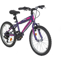 Alpina Alpha 20" Purple