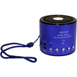 Wster WS-Q9 WS-Q9 Ηχείο Bluetooth 3W με Ραδιόφωνο Μπλε