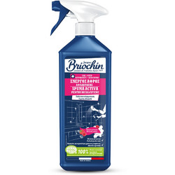 Ενεργός αφρός αφαλάτωσης σπρέι 750 ML BRIOCHIN (59127)