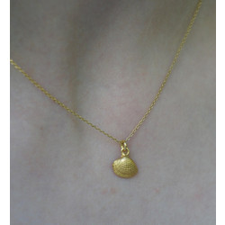 Minimalist Tiny Real Sea Shell, chain necklace 14 Gold on sterling silver. Summer Pendant Necklace from Mother Nature Jewelry