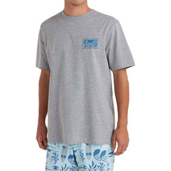 O'Neill Beach Graphic T-Shirt (2850215-18013)