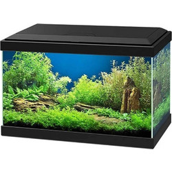 Ciano Aqua 20 Ενυδρείο Ψαριών με Φωτισμό & Φίλτρο 17lt Μαύρο