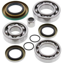 ALL BALLS Differential Bearing & Seal Kit