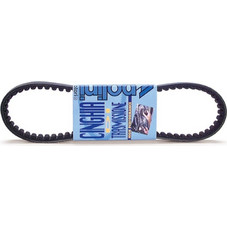 POLINI Standard Transmission Belt
