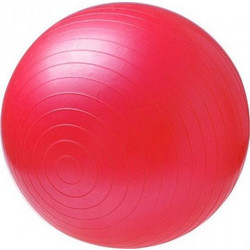 Power Force Μπάλα γυμναστικής GYM BALL WS-6008 Antibrust 55cm