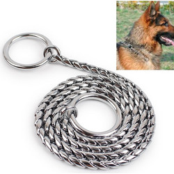 dog chain neck