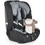 Moni Start Κάθισμα Αυτοκινήτου 9-36kg Grey