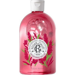 Roger & Gallet Gingembre Rouge Wellbeing Αφρόλουτρο σε Gel για Ευαίσθητο Δέρμα 500ml
