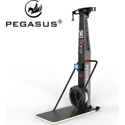 Pegasus Ski Trainer S3
