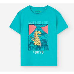 Losan Παιδικό T-Shirt Κοντομάνικο Τιρκουάζ 303-25012