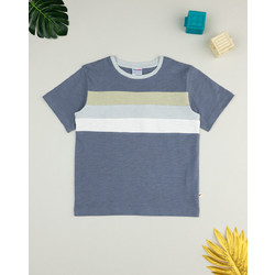 Prenatal Παιδικό T-Shirt Κοντομάνικο Γκρι Μπλε 1489249