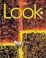 Look 5 Teacher's Book