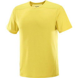 Salomon Outline Ανδρικό Αθλητικό T-Shirt Κίτρινο LC24757