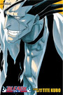 Bleach (3in1 Edition), Vol. 5 Bleach (3in1 Edition), Vol. 5