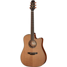 Takamine P3DC with Case