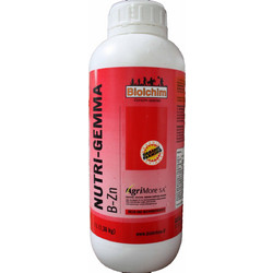 Biolchim Nutri-Gemma B-Zn Υγρό Διαφυλλικό Λίπασμα Βορίου Ψευδαργύρου 1lt