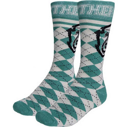 Cerda Harry Potter Slytherin Ανδρικές Κάλτσες Ψηλές με Σχέδια Τιρκουάζ 2900002536