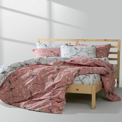 Lino Home Σετ Σεντόνια Μονά Βαμβακερά 170x260 Parrots Σομόν