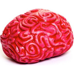 Keycraft Squidgy Brain Squishy Κόκκινο
