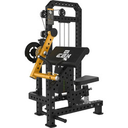 EBX Pro Biceps & Triceps 10012