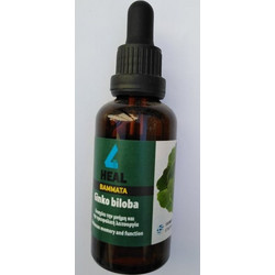 Apel 4 Heal Βάμμα Gingko Biloba 50ml