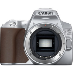 Canon EOS 250D + Kit 18-55mm IS STM
