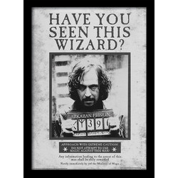 Harry Potter (Sirius Wanted) Wooden Framed Print (30x40) - FP10611P