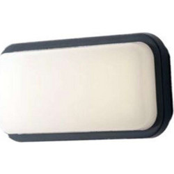 Intec LED-SHELLY-Q-L ANT 8031414862023